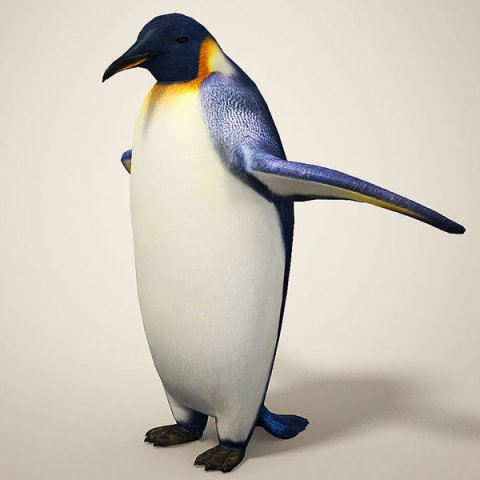 penguins 3D मॉडल .c4d .max .obj .3ds .fbx .stl .blend 