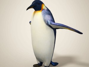 penguins 3D मॉडल