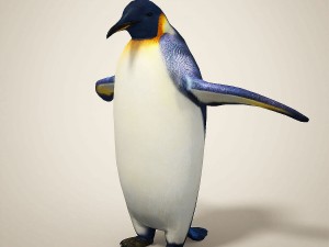 penguins 3D मॉडल
