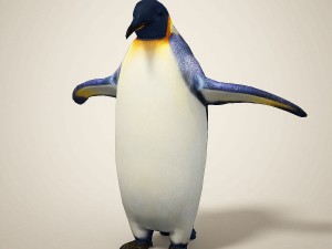 penguins 3D मॉडल