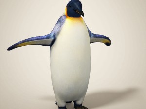 penguins 3D मॉडल