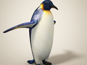 penguins 3D मॉडल