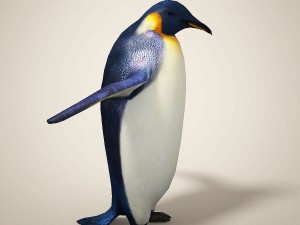 penguins 3D मॉडल