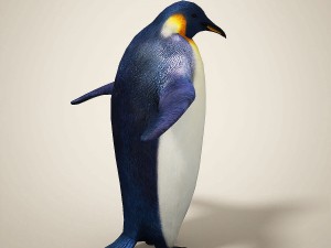 penguins 3D मॉडल