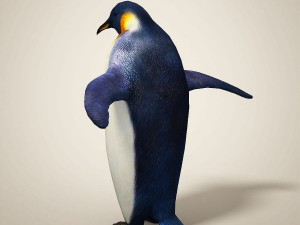penguins 3D मॉडल