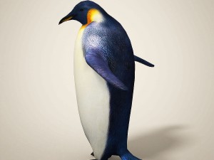 penguins 3D मॉडल