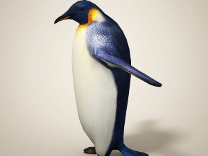 penguins 3D मॉडल