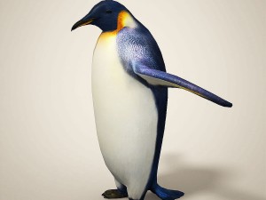 penguins 3D मॉडल
