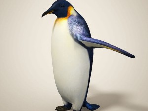 penguins 3D मॉडल
