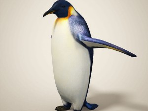 penguins 3D मॉडल