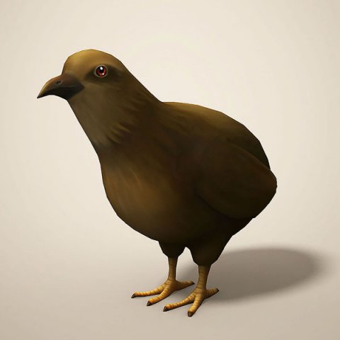 cartoon quail Modelo 3D .c4d .max .obj .3ds .fbx .stl .blend 
