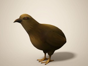 cartoon quail Modelo 3D