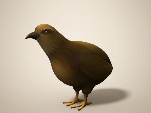 cartoon quail Modelo 3D