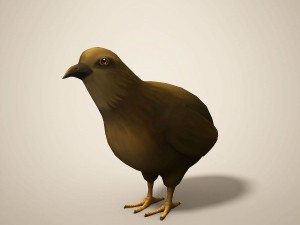 cartoon quail Modelo 3D