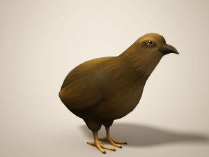 cartoon quail Modelo 3D