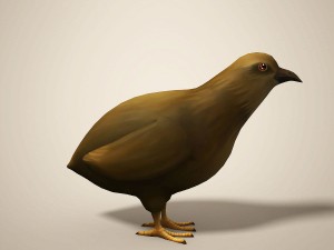 cartoon quail Modelo 3D