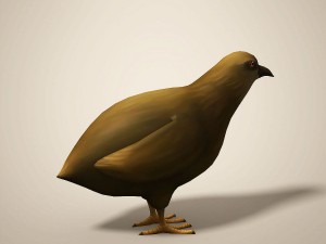 cartoon quail Modelo 3D