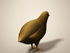cartoon quail Modelo 3D