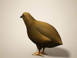 cartoon quail Modelo 3D