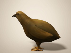cartoon quail Modelo 3D
