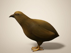 cartoon quail Modelo 3D