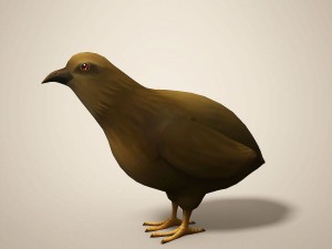 cartoon quail Modelo 3D