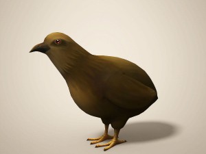cartoon quail Modelo 3D