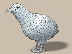 cartoon quail Modelo 3D