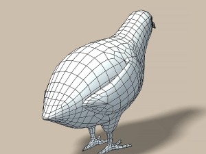 cartoon quail Modelo 3D