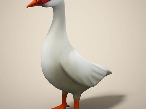 cartoon bird 3D Model