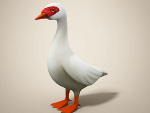 cartoon bird Model 3D