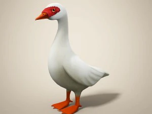 cartoon bird 3D Model