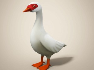 cartoon bird Model 3D