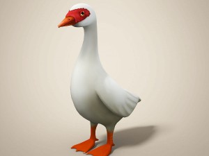 cartoon bird Model 3D