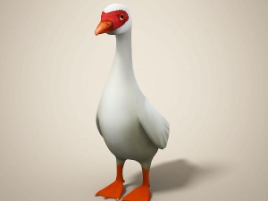 cartoon bird Model 3D