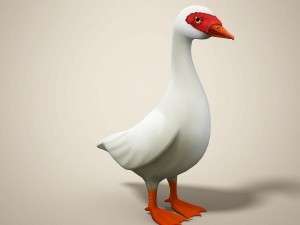 cartoon bird Model 3D