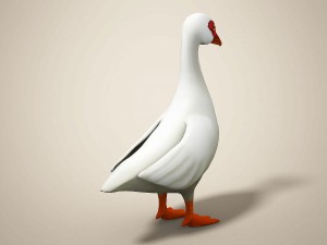 cartoon bird Model 3D