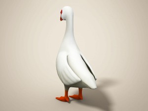 cartoon bird Model 3D