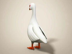 cartoon bird 3D Model