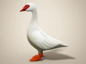 cartoon bird Model 3D