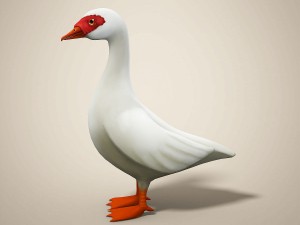 cartoon bird Model 3D