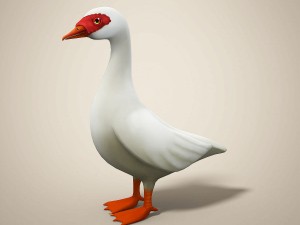 cartoon bird Model 3D
