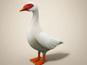cartoon bird 3D Model
