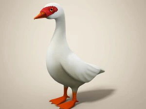cartoon bird 3D Model