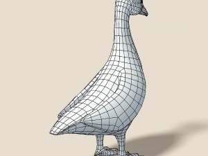 cartoon bird Model 3D