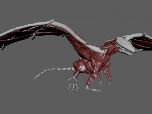 pokemon charizard realistic muscle rigged 3D Model