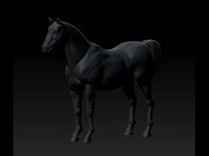 horse model 3D Print Model