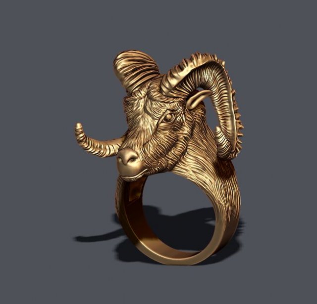 Aries ring Modello di stampa 3D .c4d .max .obj .3ds .fbx .stl .blend 