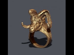 Aries ring 3D Print Model