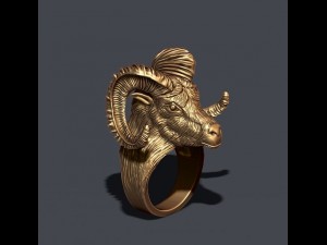 Aries ring Modello di stampa 3D